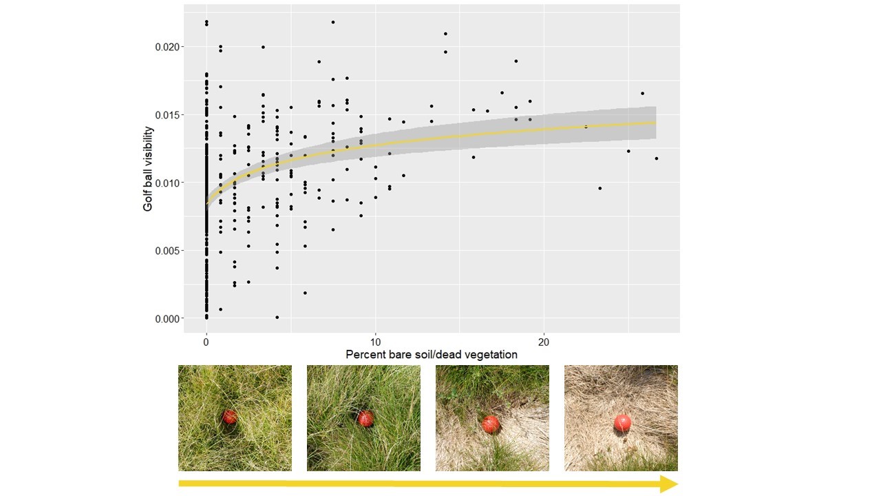 graph of golf ball visibility versus bare soil