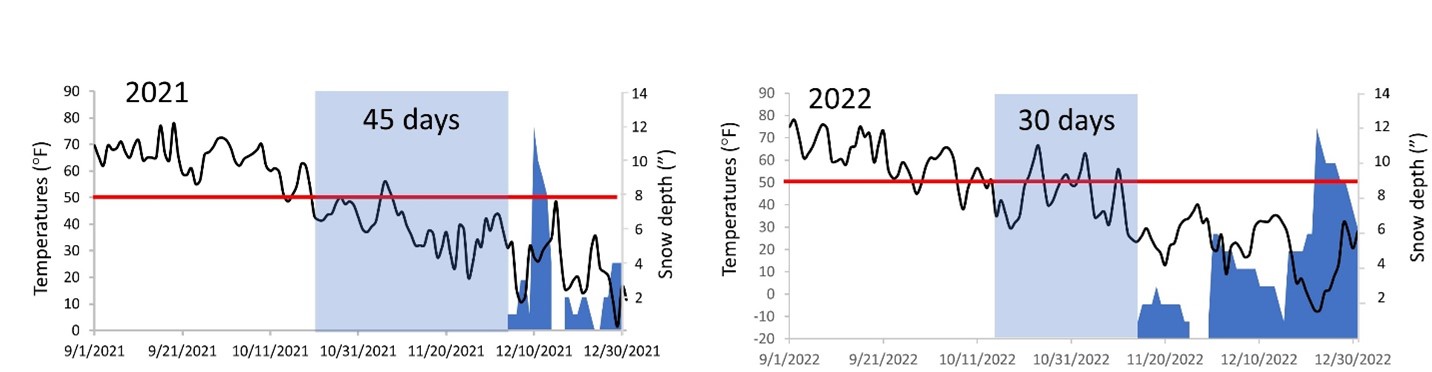 two graphs of time vs temperature for two years - 2021 and 2022
