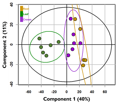 a principal coordinate analysis scatter plot with dots and circles that represent the results of root, leaf and crown tissue