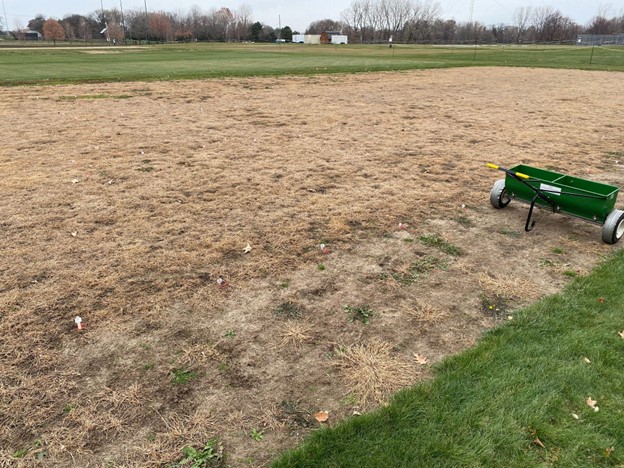 turfgrass research plots where most turfgrass has been killed
