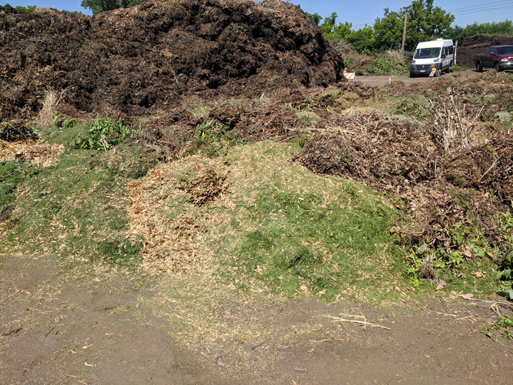 A pile of vegetative debris that includes green grass clippings