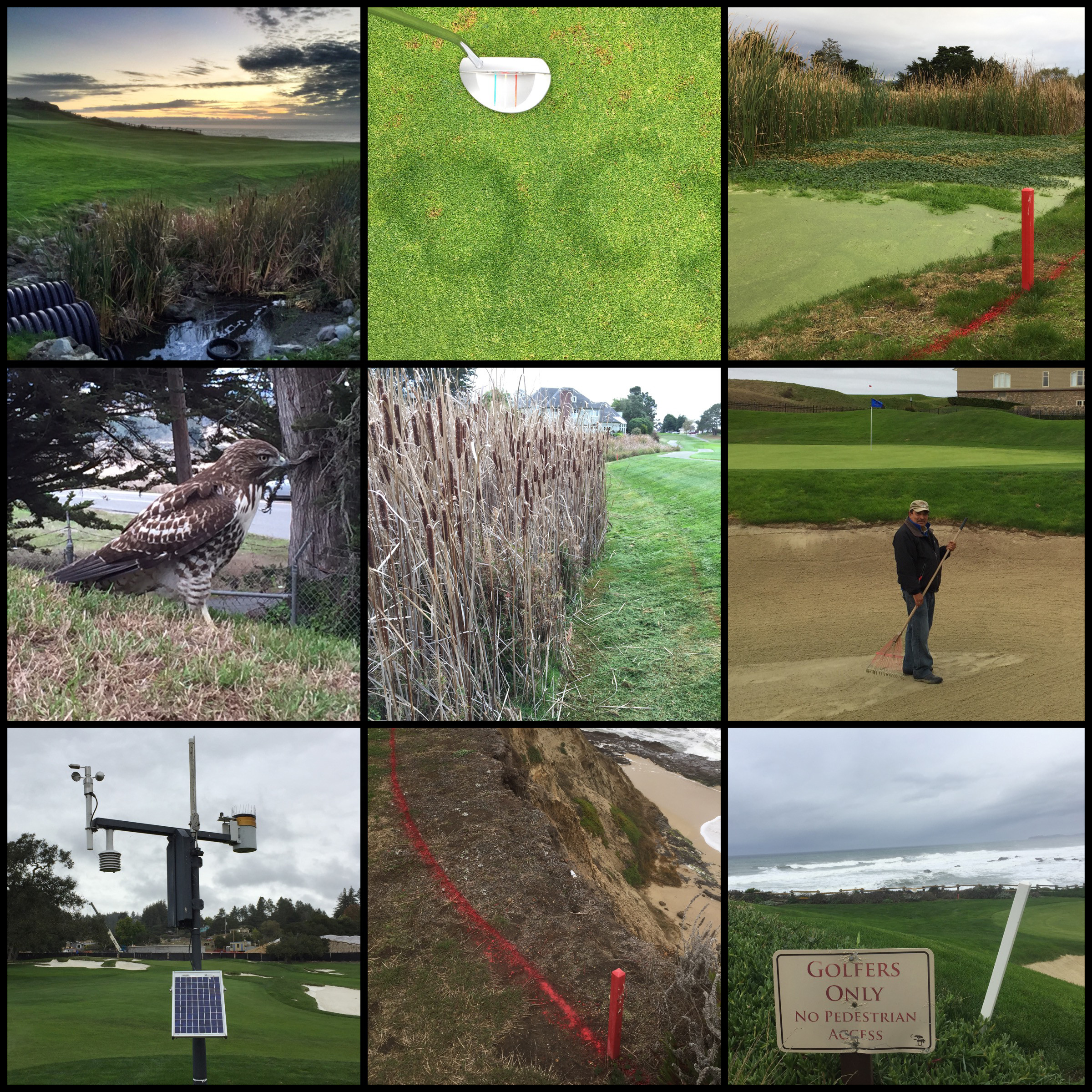 images demonstrating the sustainability of golf