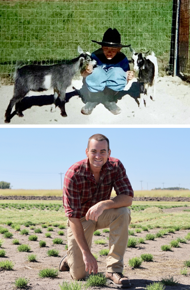 top picture is of boy crouching and petting two goats; bottom picture is of a man kneeling in perennial ryegrass research plots