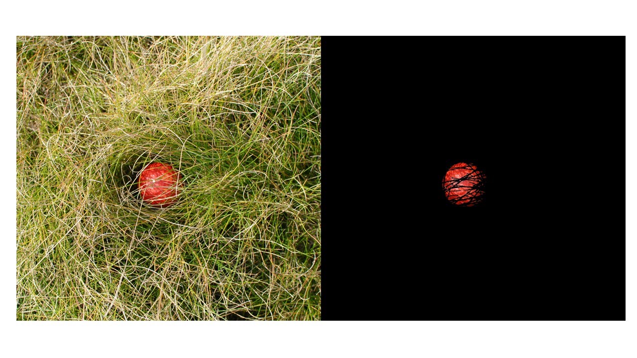 A red golf ball on turf and on a background of black