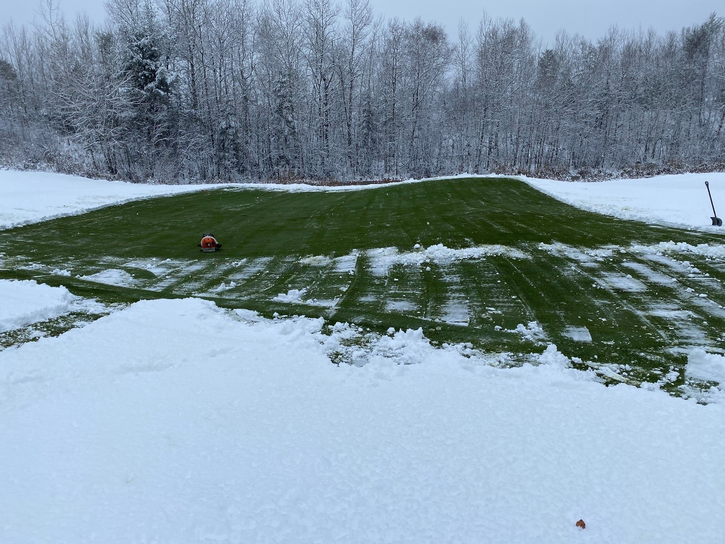 An area of green turf surrounded by snow-covered ground