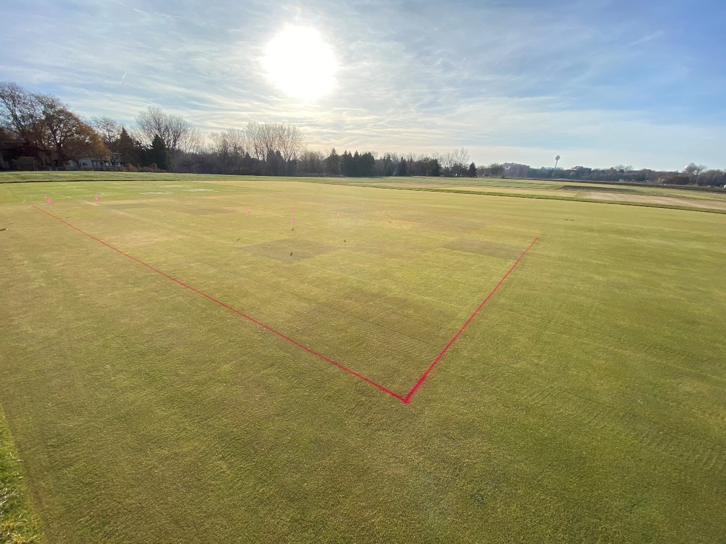 Turfgrass research plots in late fall