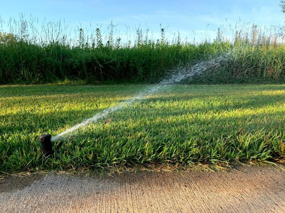 An irrigation head watering a lawn adjacent to a sidewalk