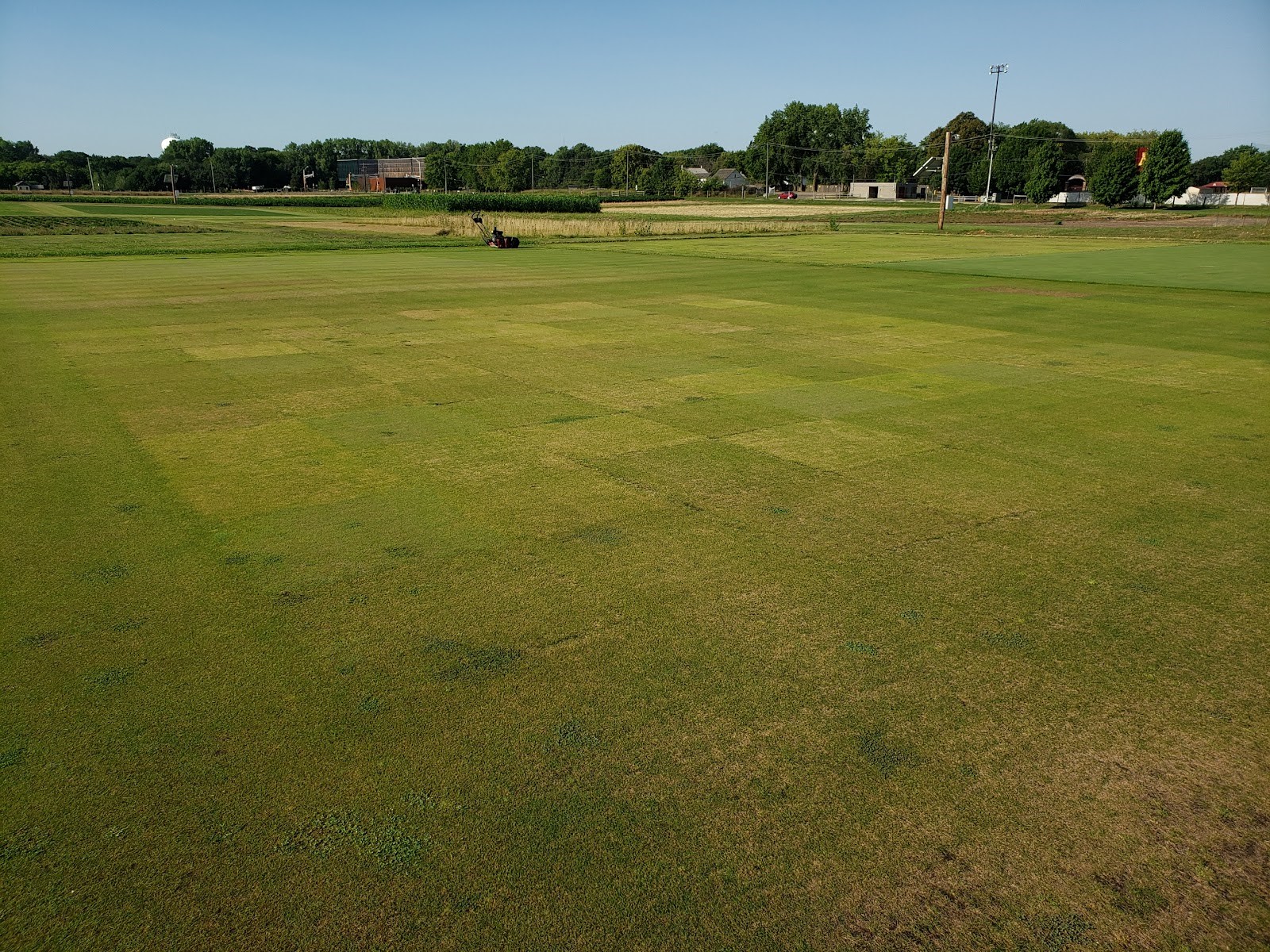 Putting green research plots at the University of Minnesota 