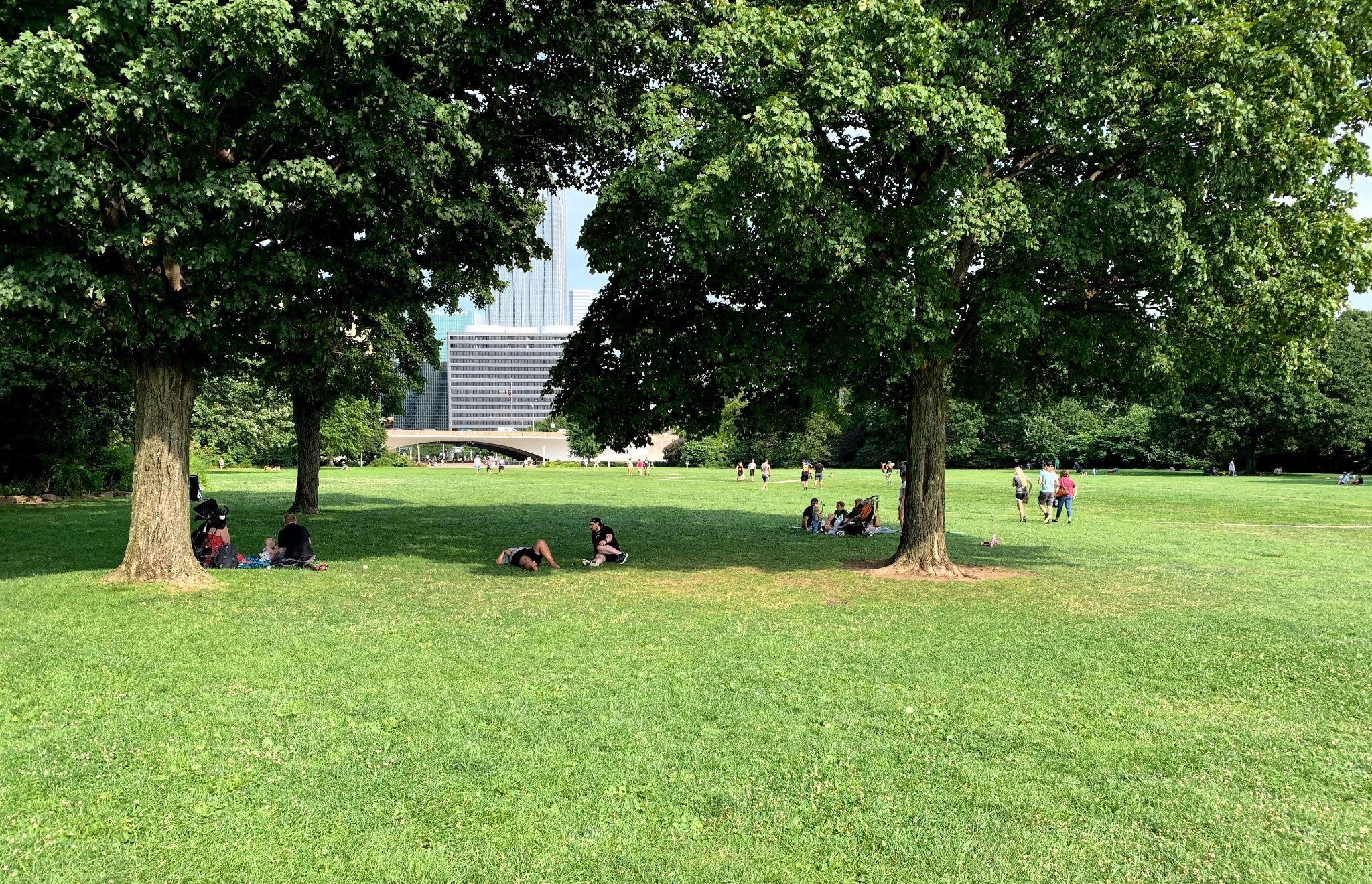 A park with several groups of people lounging beneath trees