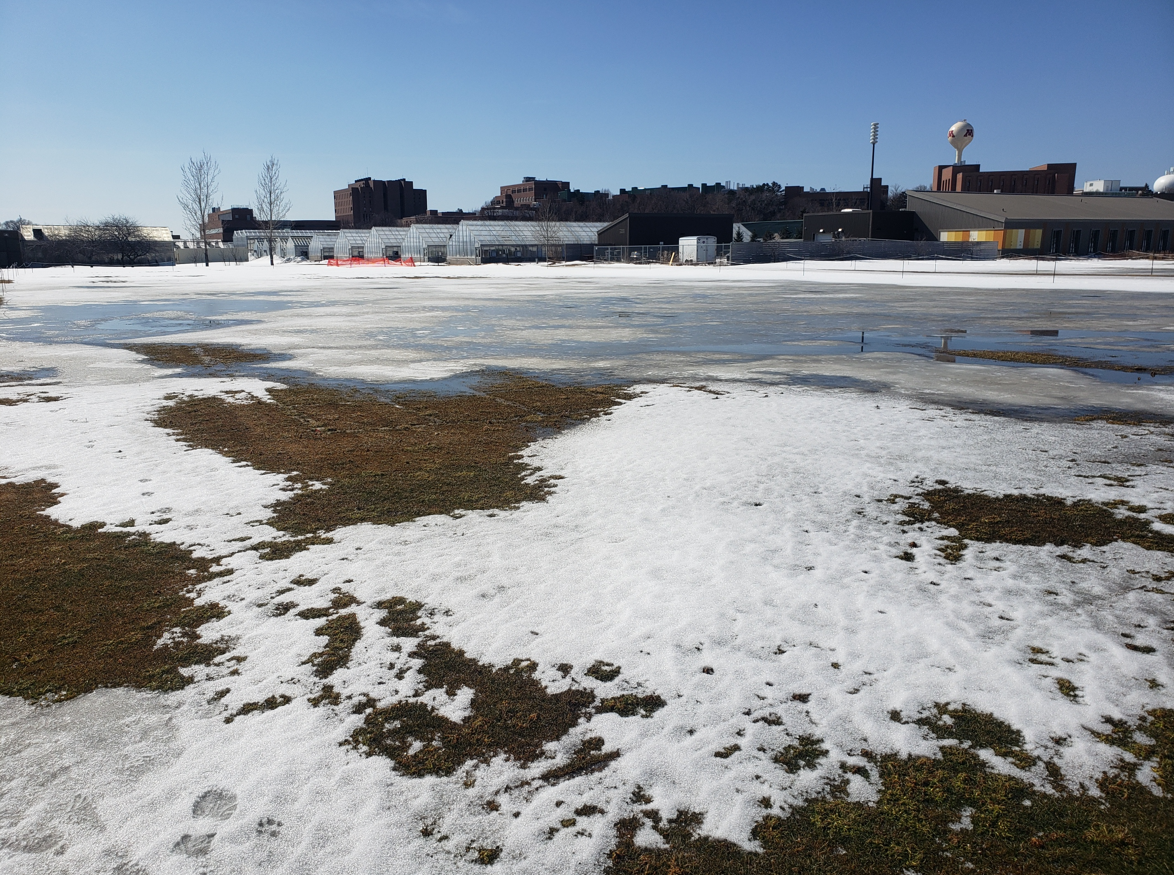An area of turf in winter with some bare spots, some snow and some icy patches