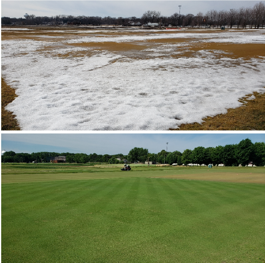 Two images, the top one of turfgrass plots with snow starting to melt and the bottom one in summer with a mower in the background