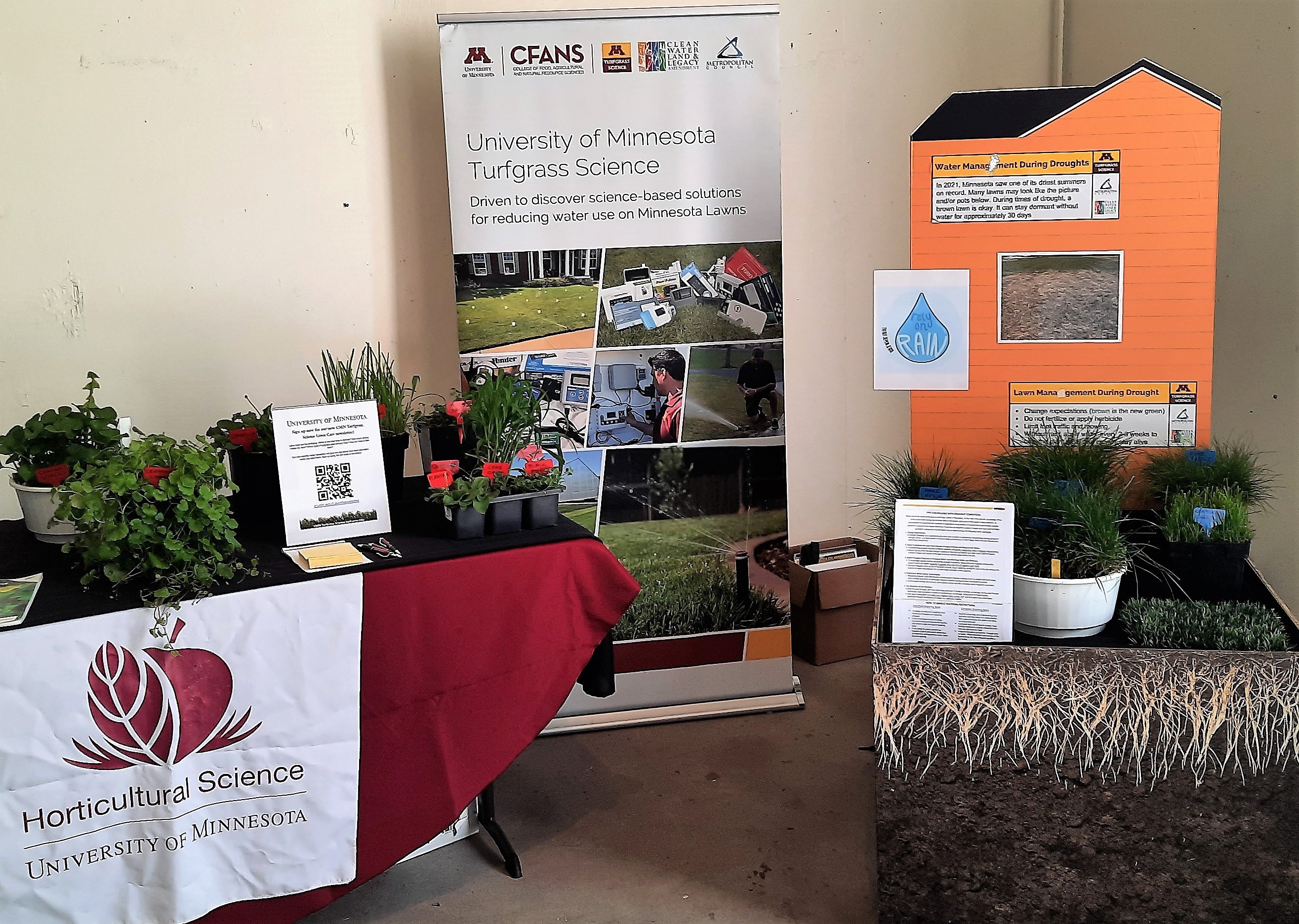 an educational display including live turfgrass and weed plants