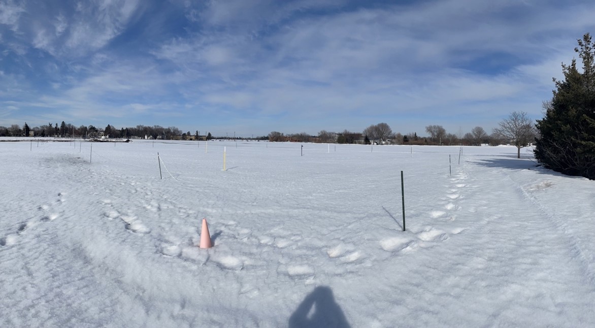 a snowy research field with metal stakes and footprints