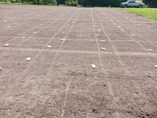 a bare research field about to be planted