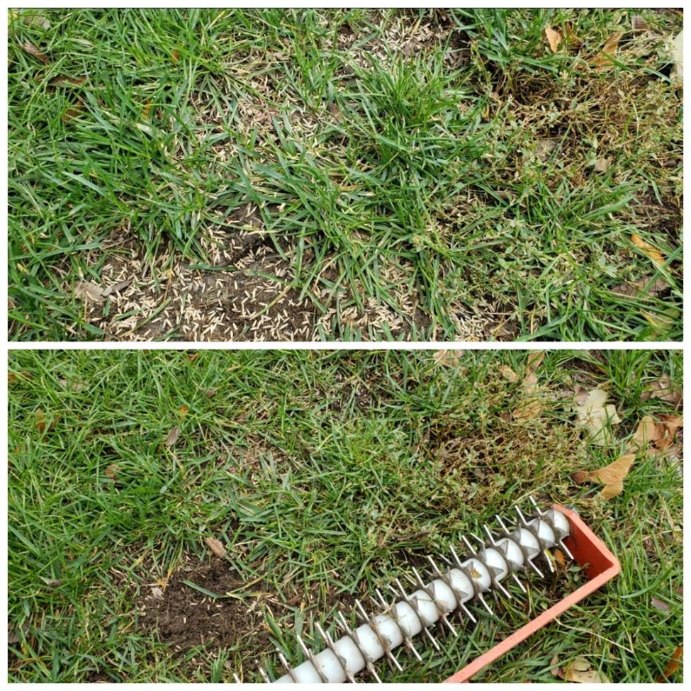 a home lawn before and after it has been worked on with a hand spiker