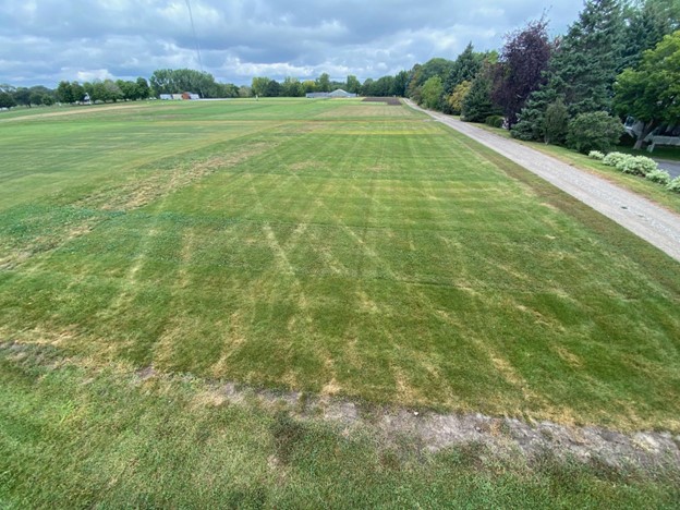 turfgrass research plots showing damage from mowing traffic