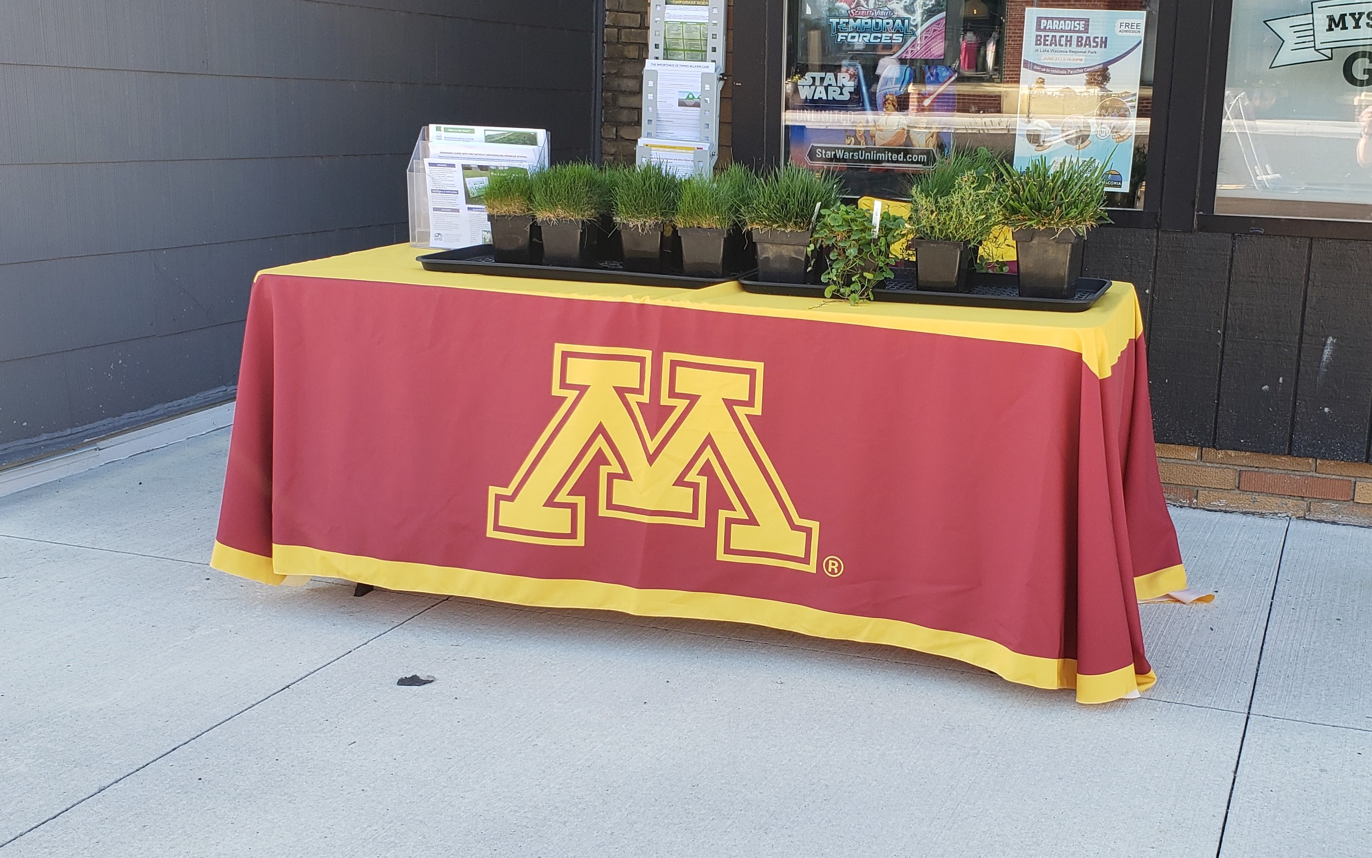 a turfgrass educational display with University of Minnesota colors and logo