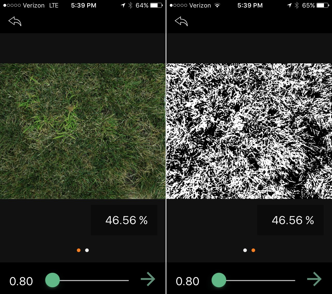 A sisd-by-side comparison of an original image and how the app converts it to green cover in black and white