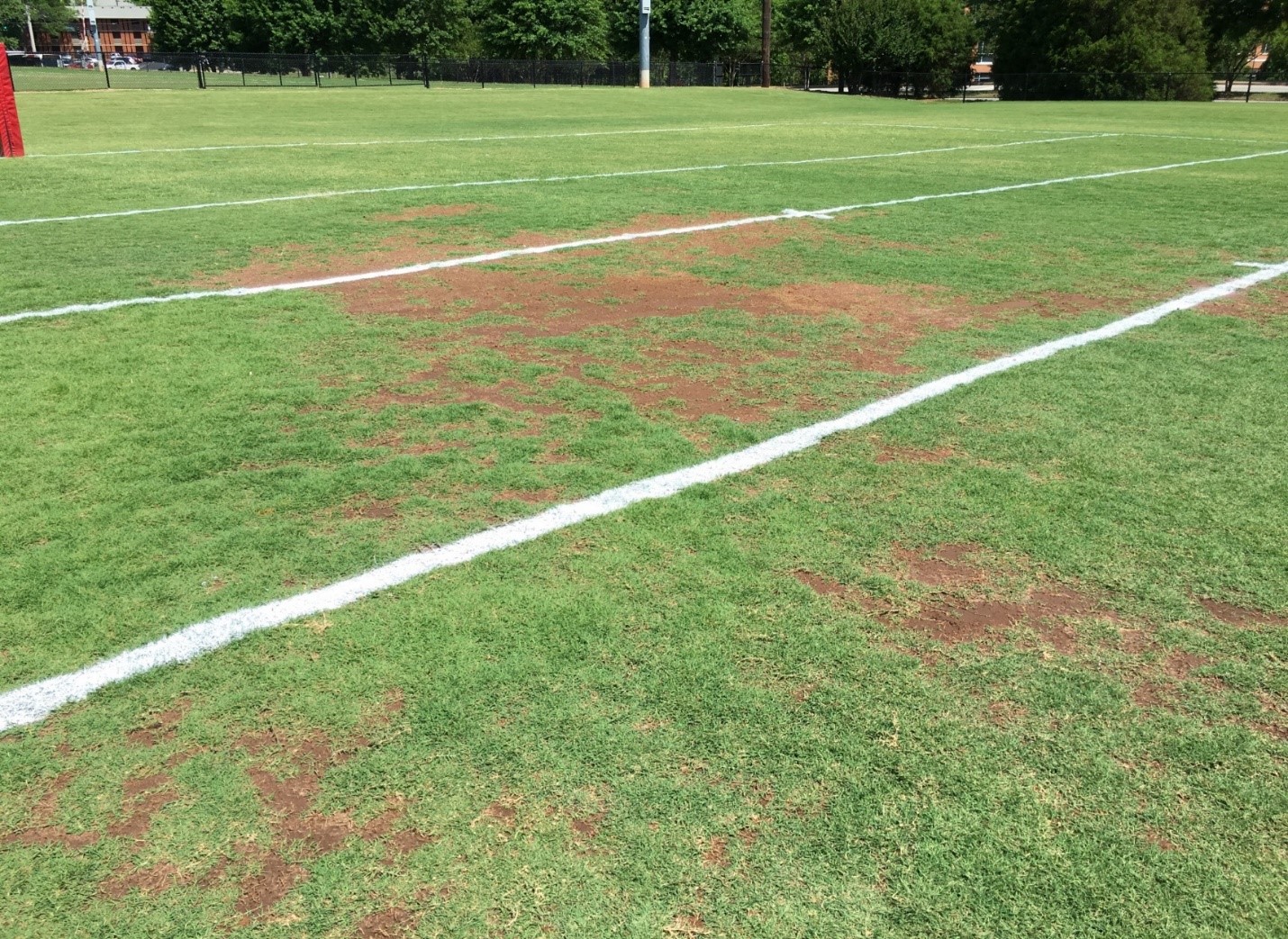 natural grass sports field with patches of soil due to wear