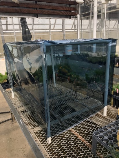 Plastic filter setup on a greenhouse bench