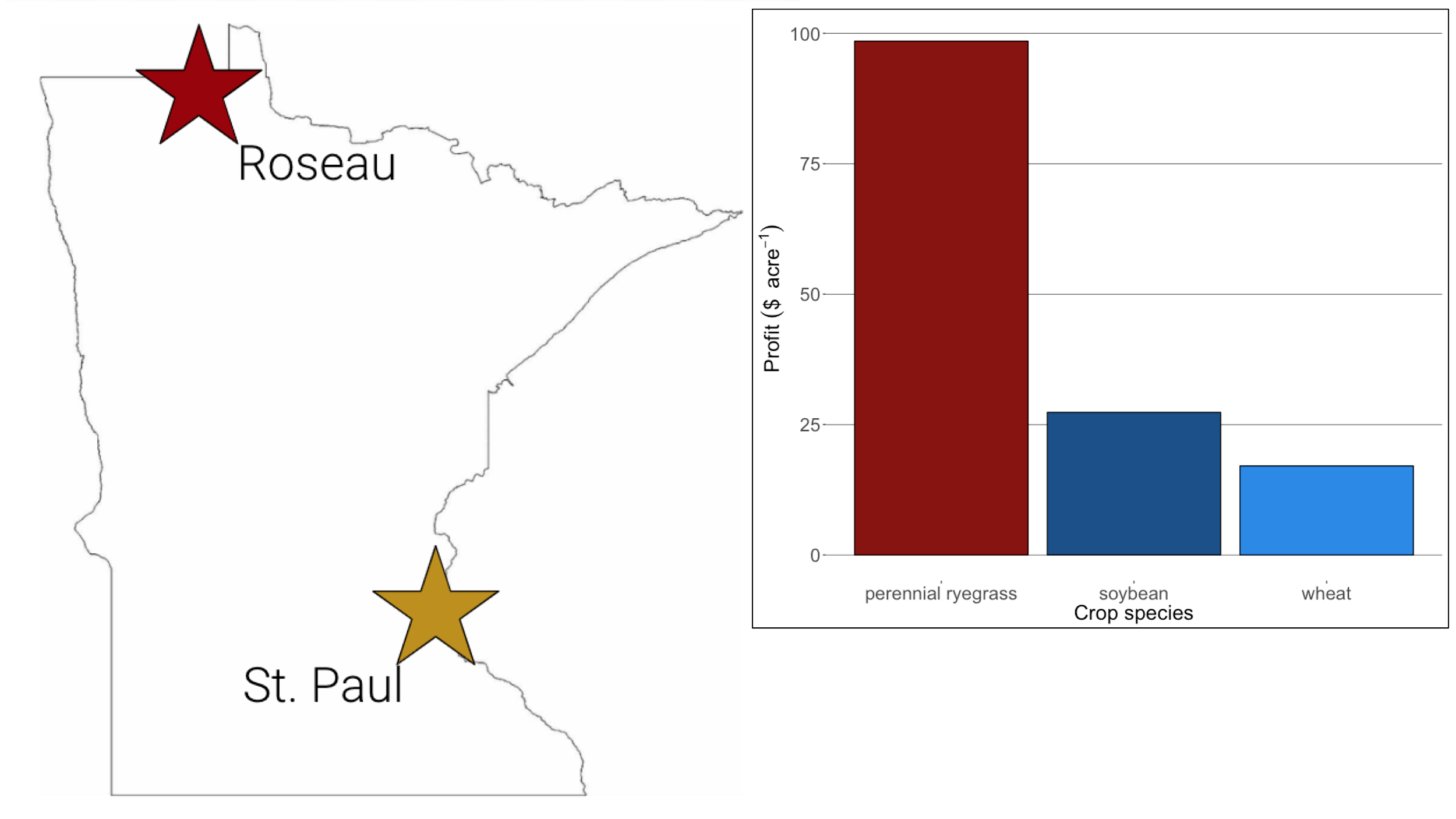 map of Minnesota with Roseau and St. Paul marked with a star; a chart comparing perennial ryegrass, soybean and wheat profits