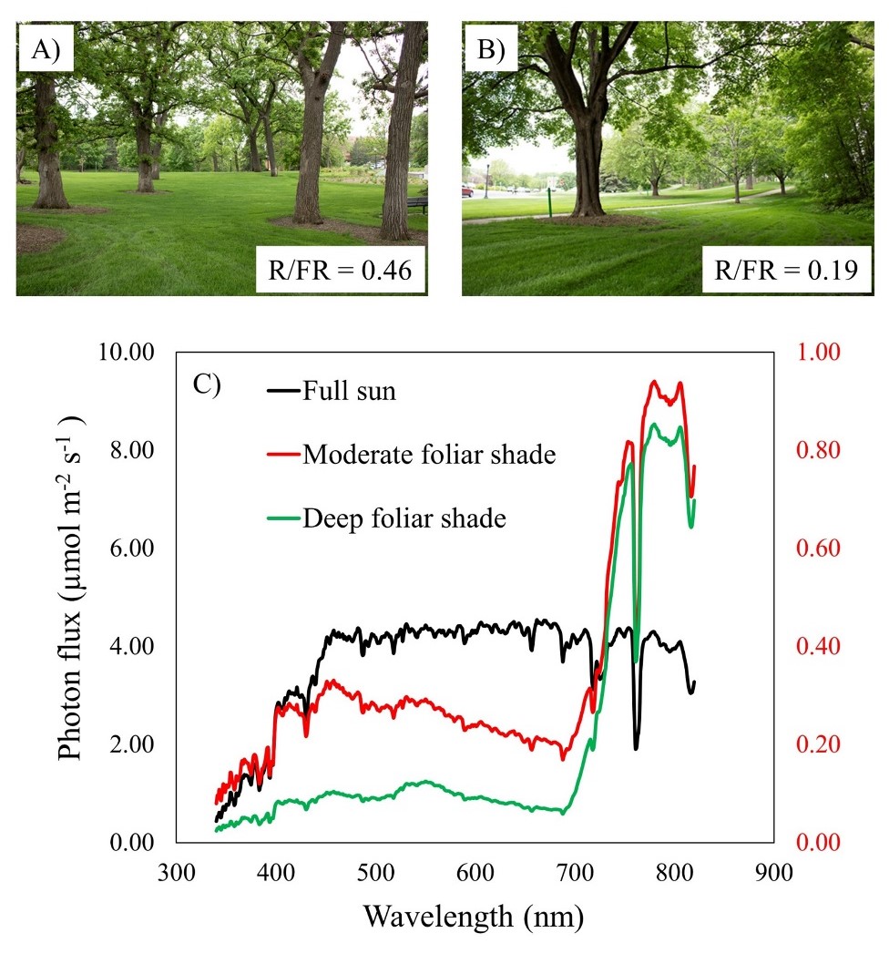 top two photos show turfgrass interspersed with trees, bottom image is a graph of wavelength and photon flux