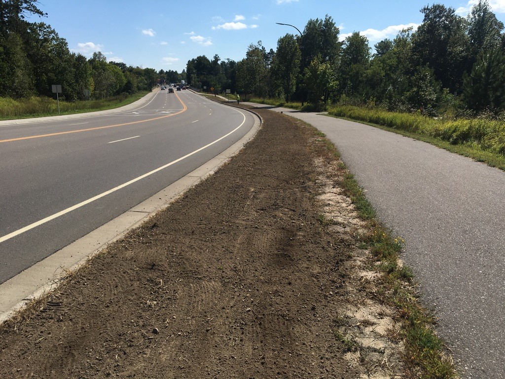 strip of tilled soil along a roadside