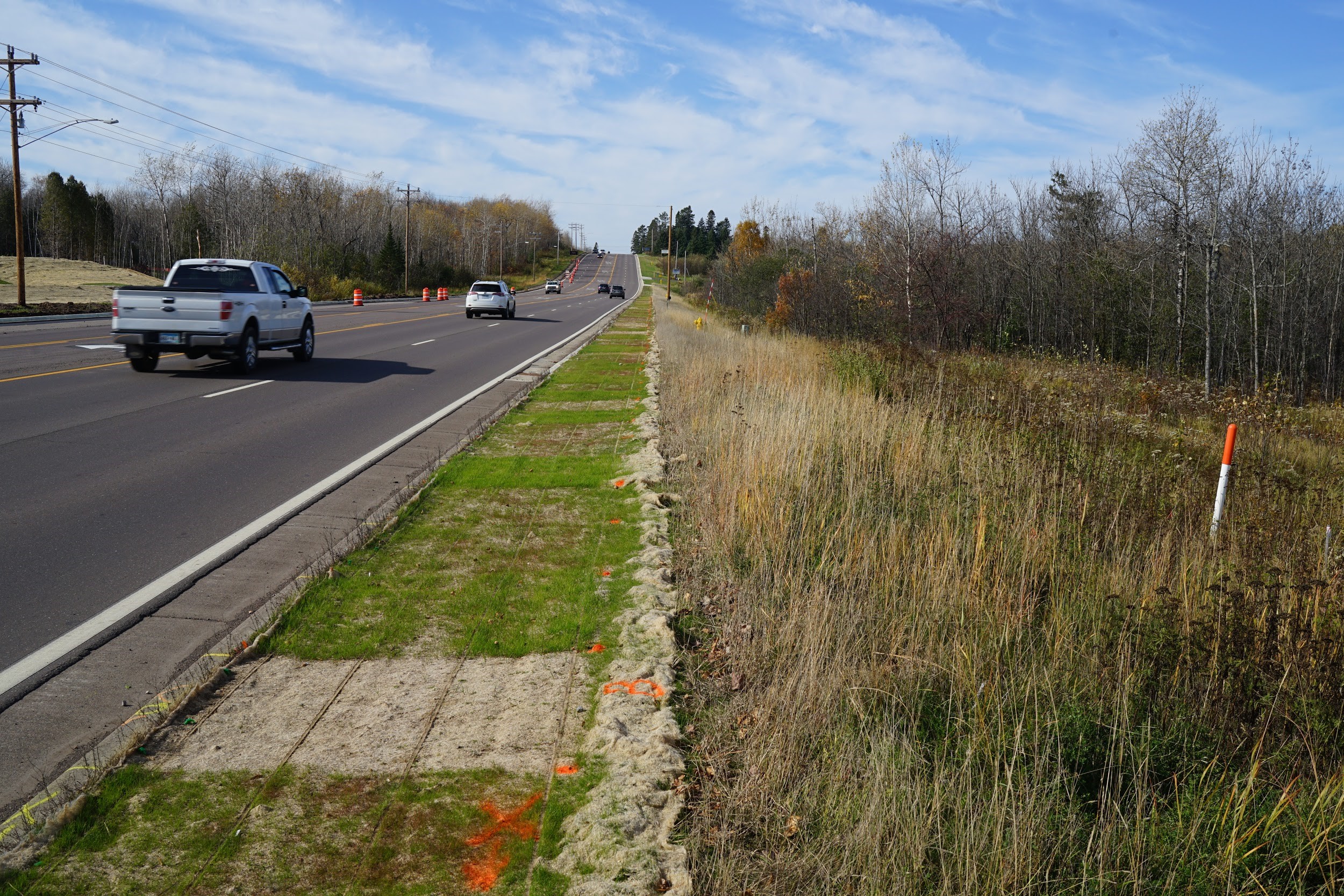 roadside research plots with turfgrass seedlings in Duluth, MN