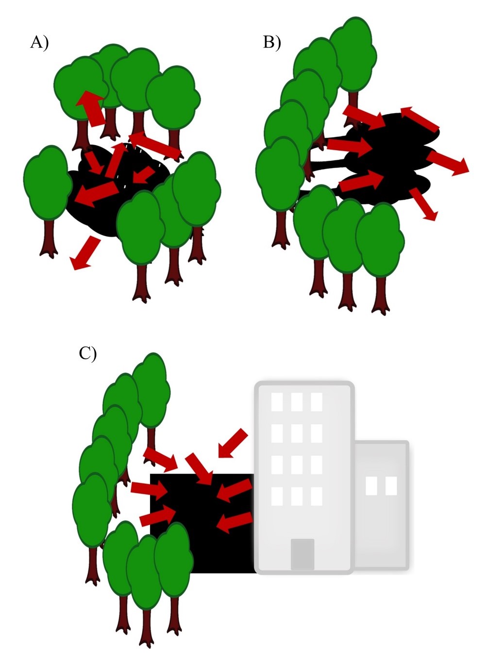 three diagrams with different types of shade and red arrows that show the direction of scattering of far-red light