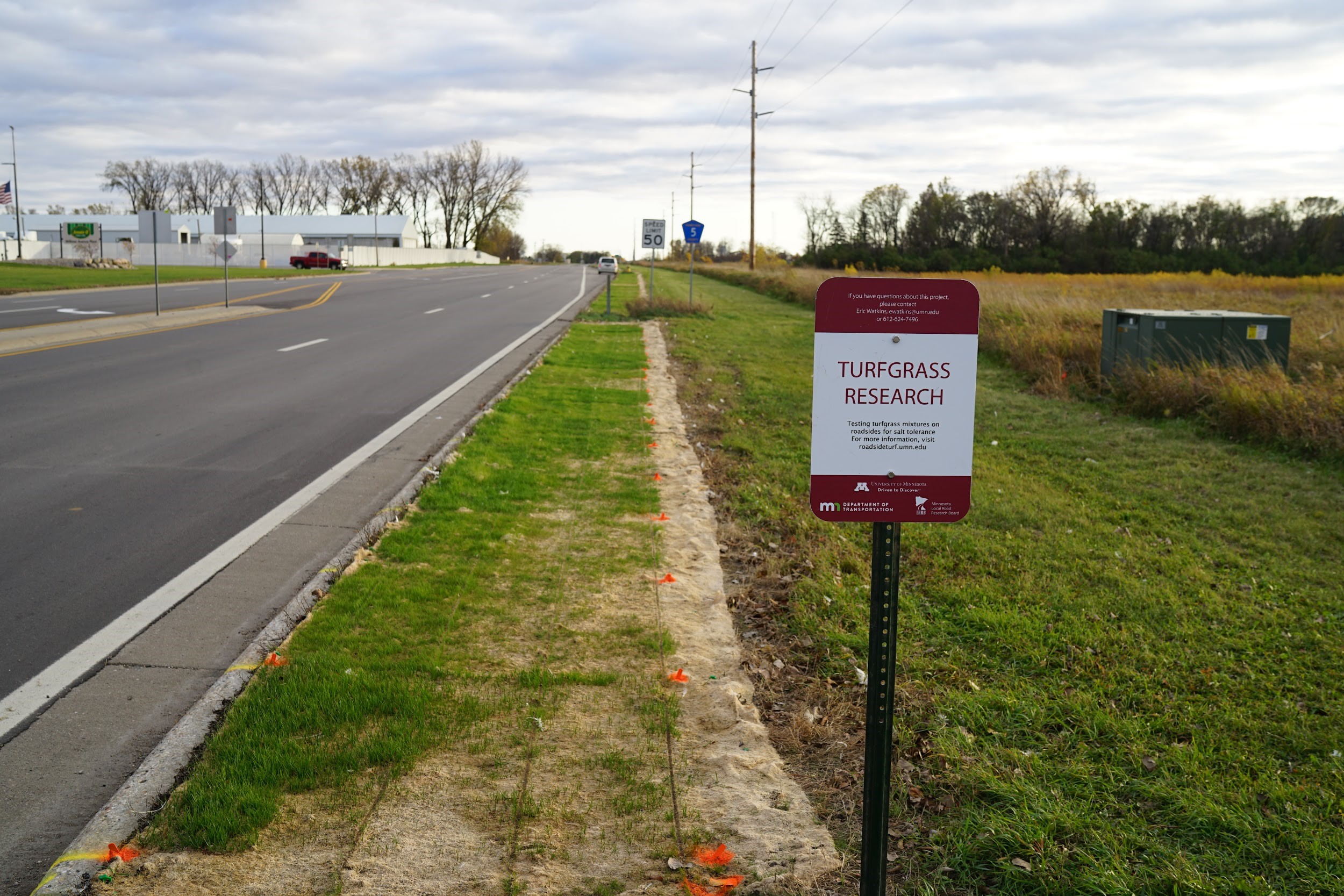 roadside research plots with turfgrass seedlings in Willmar, MN