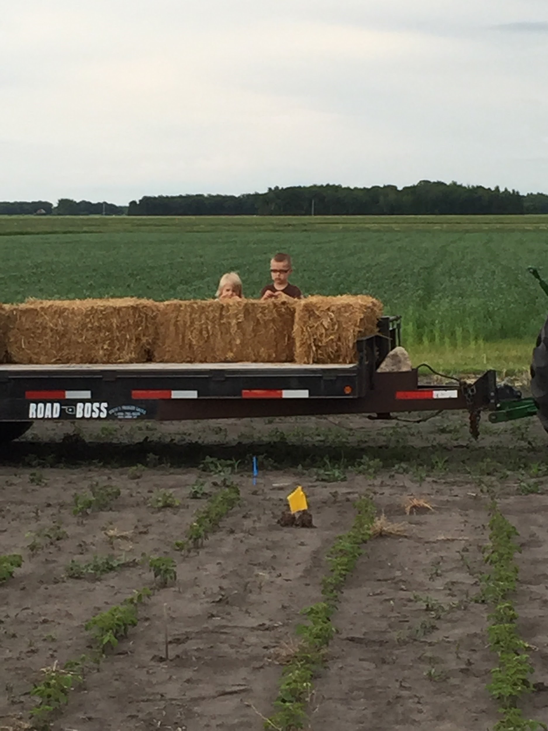 Two children playing behind bales of hay