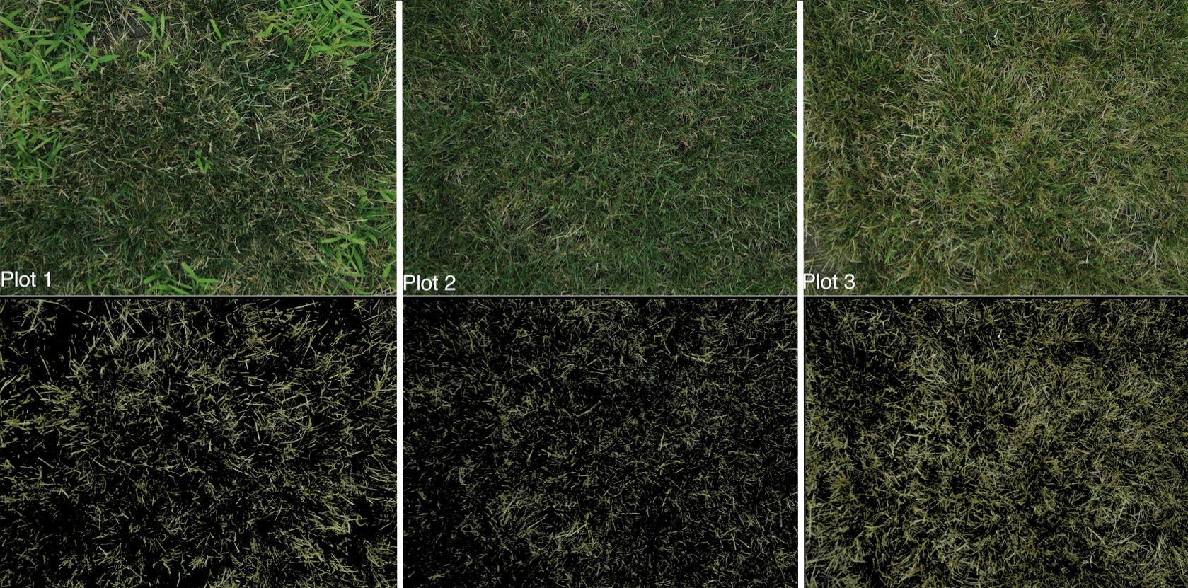 original images of the three perennial ryegrass plots compared with the images with stem tissue