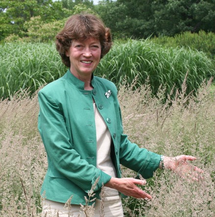 Dr. Mary Meyer