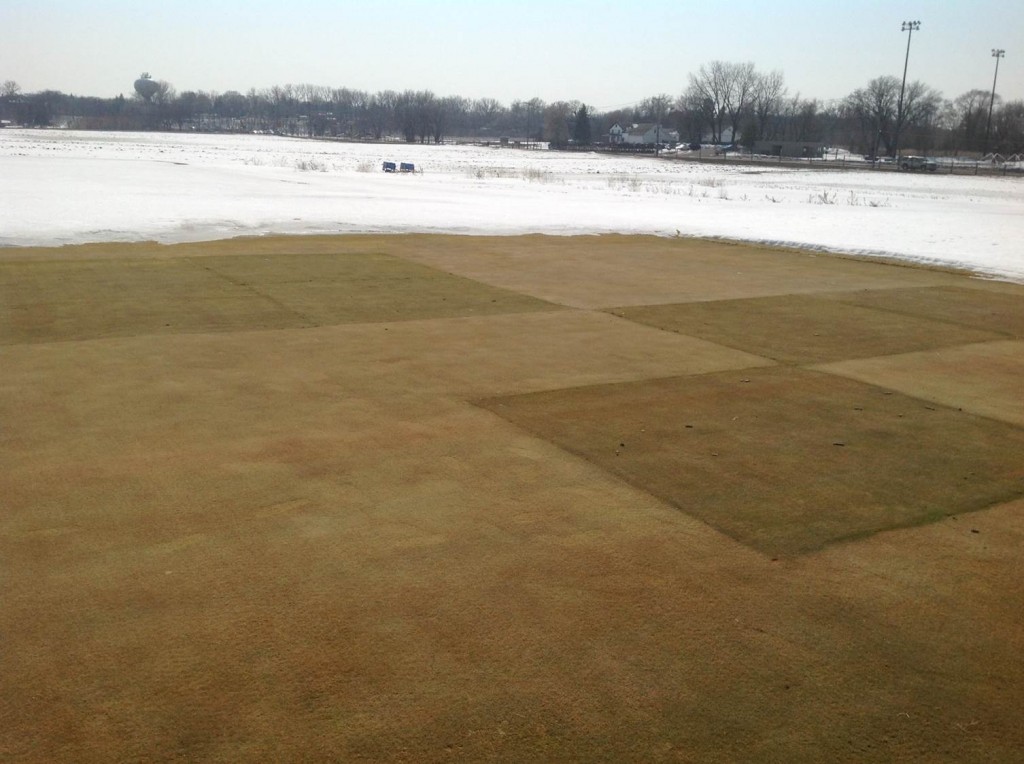 An anti-desiccation study at the University of Minnesota Turfgrass Research, Outreach, and Education Center